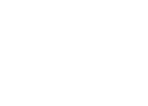 LOGO-300X264.png